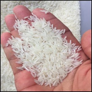 Vietnamese White rice 5451