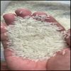 st25-rice-organic-global-gap - ảnh nhỏ 4