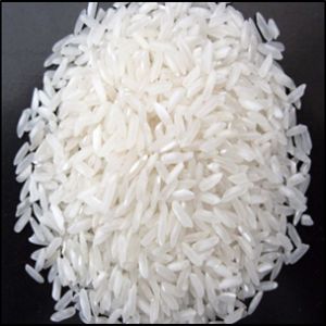 504 Rice